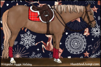 Horse Color:Chestnut Rabicano 