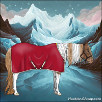 Horse Color:Chestnut Tobiano Appaloosa Rabicano 