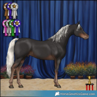 Horse Color:Liver Chestnut Mushroom 