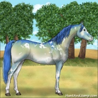Horse Color:Watercolor White Spotted Liver Red Dun Onyx 
