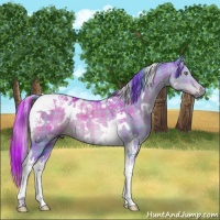 Horse Color:Watercolor Plaid  White Spotted Liver Red Dun Tobiano 