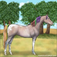 Horse Color:Painted Watercolor Silver Buckskin Pearl Dun Tobiano 