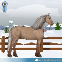 Horse Color:Silver Grullo 