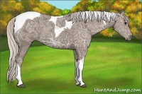 Horse Color:Silver Black Ice Tobiano