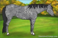 Horse Color:Black Ice 