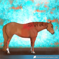 Horse Color:Chestnut Tobiano
