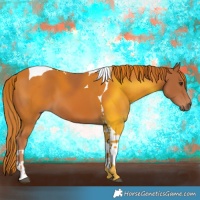 Horse Color:Chestnut Tobiano