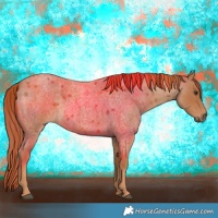 Horse Color:Red Roan 