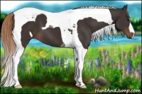 Horse Color:Liver Chestnut Tobiano 