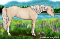 Horse Color:Palomino Pearl