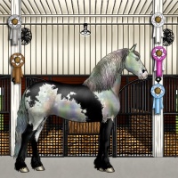Horse Color:Nacre Plaid  Liver Red Dun Sabino Tobiano 