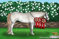 Horse Color:Plaid Liver Red Dun Roan Onyx Sabino Splash