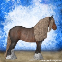 Horse Color:Liver Red Roan Rabicano 