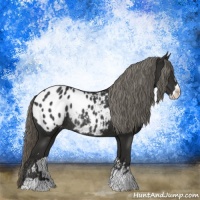 Horse Color:Liver Chestnut Mushroom Sabino Blanket Rabicano 