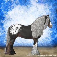 Horse Color:Liver Chestnut Mushroom Appaloosa 