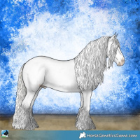 Horse Color:Liver Chestnut Mushroom Appaloosa
