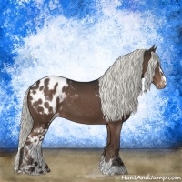 Horse Color:Liver Chestnut Mushroom Sabino Blanket 