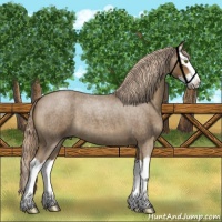 Horse Color:Chocolate Palomino Roan Splash