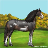 Horse Color:White Spotted Liver Chestnut Frame