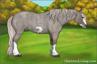 Horse Color:Silver Blue Roan Splash Frame 
