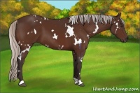 Horse Color:White Spotted Silver Brown 