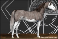 Horse Color:Liver Red Roan Sabino Splash 