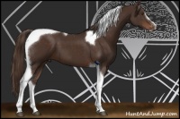 Horse Color:Liver Chestnut Sabino Tobiano 