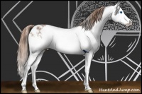 Horse Color:Chestnut Sabino Splash Rabicano 