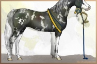 Horse Color:White Spotted Silver Black Chinchilla Splash 