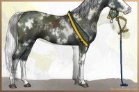 Horse Color:White Spotted Silver Black Chinchilla Splash 