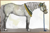 Horse Color:Platinum White Spotted Chocolate Palomino Dun 