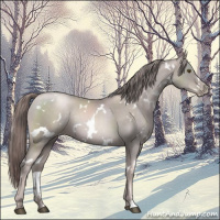 Horse Color:Platinum White Spotted Liver Chestnut Pearl Rabicano 