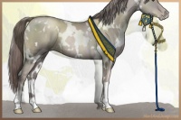 Horse Color:Platinum White Spotted Liver Chestnut Pearl Rabicano