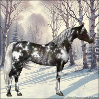 Horse Color:White Spotted Midnight Liver Chestnut Mushroom Rabicano