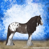 Horse Color:White Spotted Liver Chestnut Blanket Rabicano 