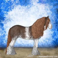 Horse Color:White Spotted Liver Chestnut 