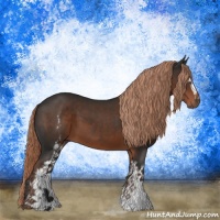 Horse Color:White Spotted Liver Chestnut 