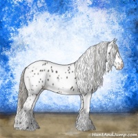 Horse Color:Liver Chestnut Ice Mushroom Appaloosa