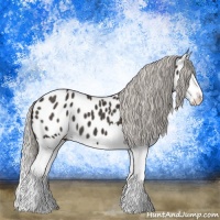 Horse Color:Liver Chestnut Mushroom Splash Appaloosa 