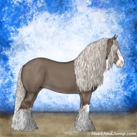 Horse Color:Liver Red Dun Mushroom Splash