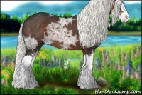 Horse Color:Liver Chestnut Ice Mushroom Splash 