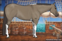 Horse Color:Smoky Grullo Tobiano 