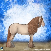 Horse Color:Gold Champagne Dun Rabicano 