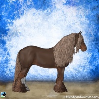 Horse Color:Liver Chestnut Rabicano 