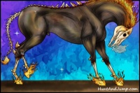 Horse Color:Liver Chestnut Appaloosa Rabicano