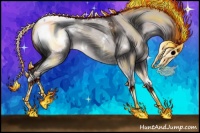 Horse Color:Platinum White Spotted Liver Red Dun Splash Appaloosa Rabicano