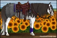 Horse Color:Liver Chestnut Sabino Splash Rabicano 