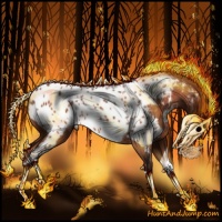 Horse Color:Silver Bay Near Leopard Rabicano 