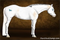 Horse Color:White Spotted Gold Cream Champagne Splash Tobiano 