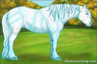 Horse Color:Thunderstruck Silver Perlino Ice Tobiano Frame Appaloosa